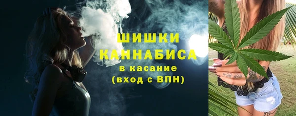 гидра Белокуриха