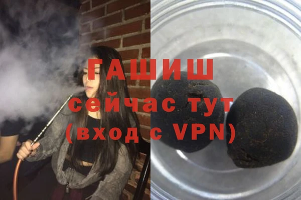 гидра Белокуриха