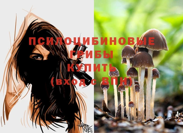 гидра Белоозёрский