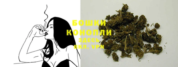 гидра Белоозёрский