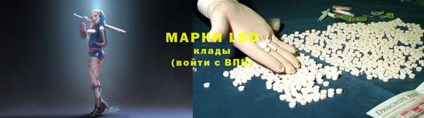 гидра Белокуриха