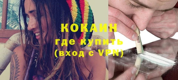 гидра Белокуриха