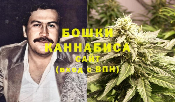 гидра Белокуриха