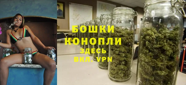 гидра Белоозёрский