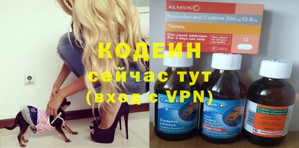 гидра Белокуриха