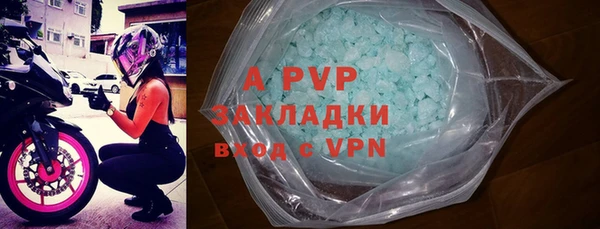 гидра Белокуриха
