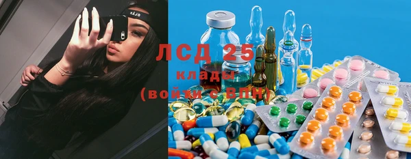 гидра Белокуриха